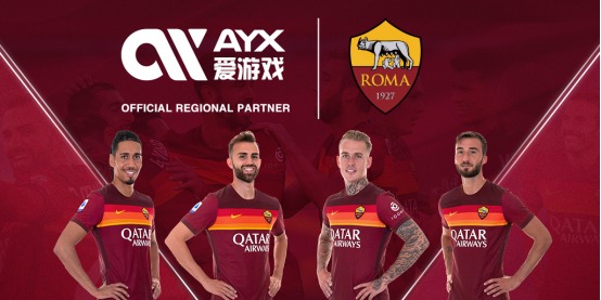 会公示了第